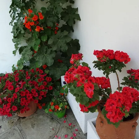 Apartament Christakos
