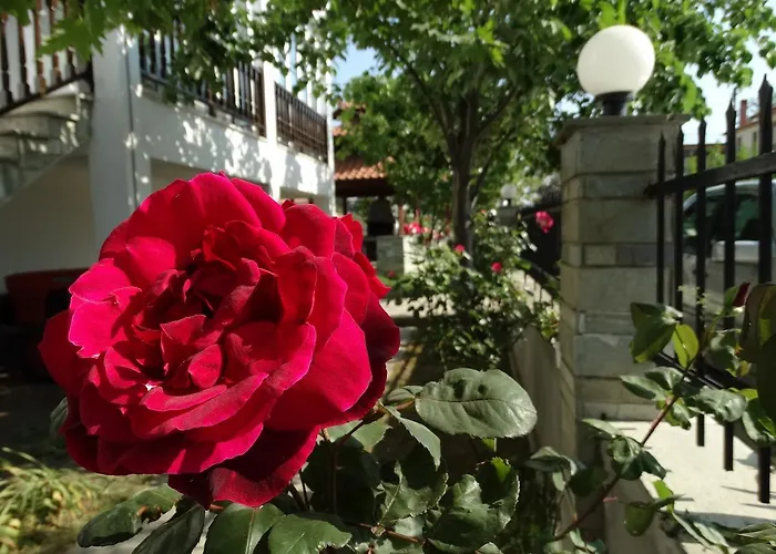 Christakos * Vrasná